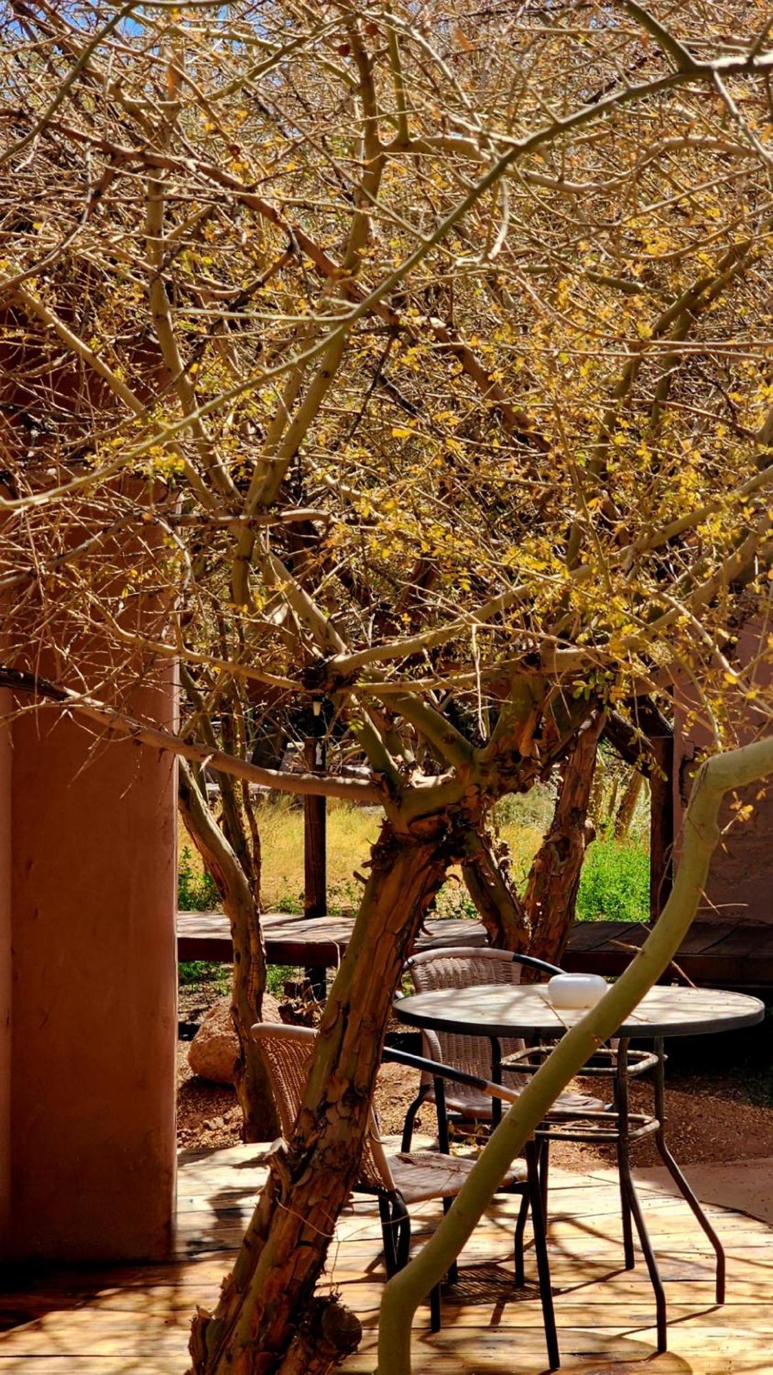 סן פדרו דה אטקאמה Hotel Tulor מראה חיצוני תמונה